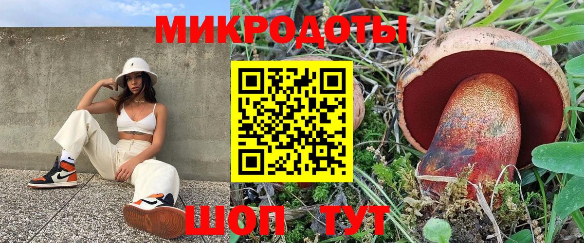 Псилоцибиновые грибы GOLDEN TEACHER Холмск